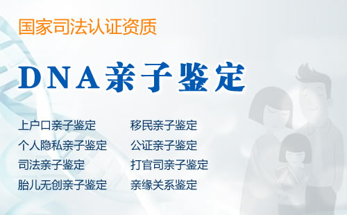 DNA亲子鉴定